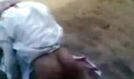 Beberapa ibu-ibu dengan ayam dari jurulatih video seks awek melayu dan perguruan tinggi, di atas lantai.