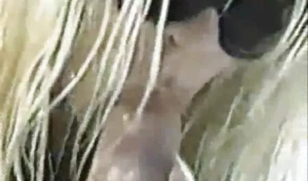 Memberikannya kepada pantat tembam sex tukang pijat dan letakkan pistol ke dalam mulutnya.